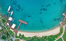 ريكسوس بريميوم بودروم